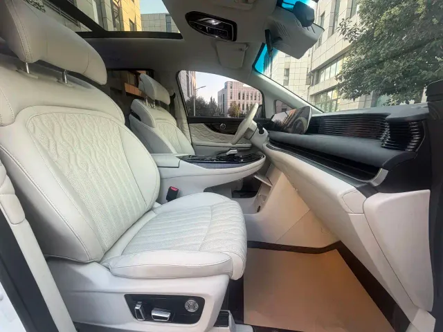 Forthing Xinghai V9 — Фото автомобиля 19