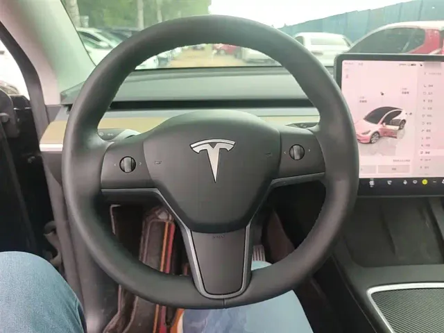 Tesla Model Y — Фото автомобиля 10