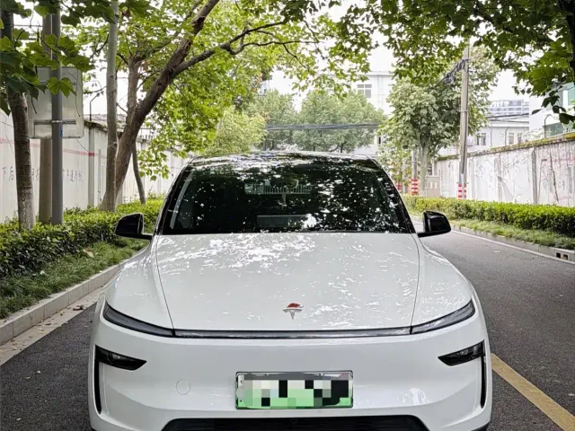 Tesla Model Y — Фото автомобиля 2