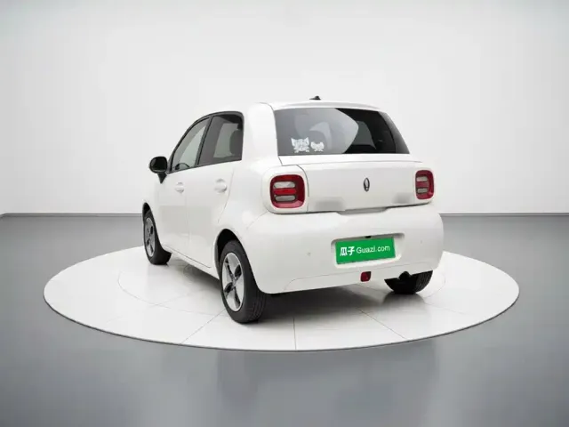 Ora Ora Black Cat 2021 301km Pet Edition — Фото автомобиля 5