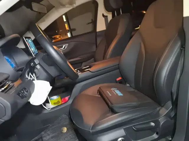 Hongqi Hongqi E-QM5 2022 431km Charging Enjoyment Edition — Фото автомобиля 11