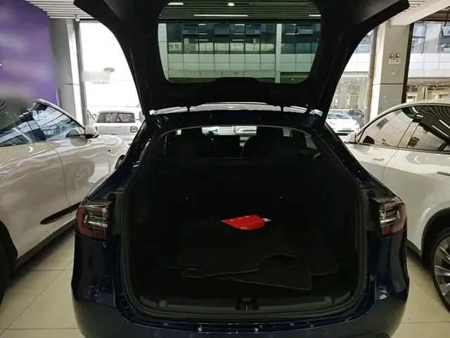 Tesla Model Y — Фото автомобиля 18