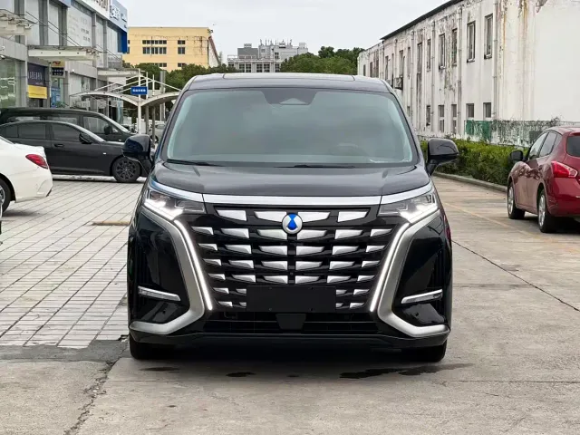 Denza D9 — Фото автомобиля 2