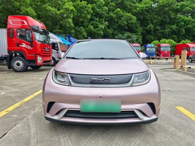 BYD Dolphin — Фото автомобиля 2