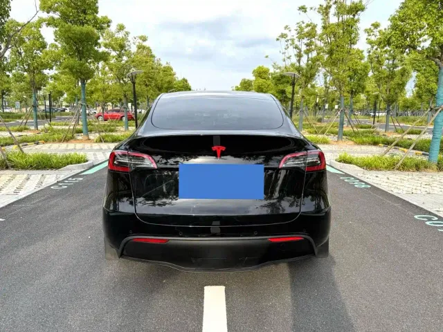 Tesla Model Y — Фото автомобиля 12