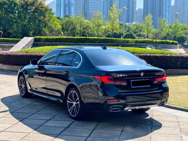 BMW 5 Series — Фото автомобиля 17