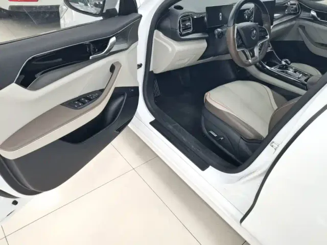 BYD Qin PLUS — Фото автомобиля 15