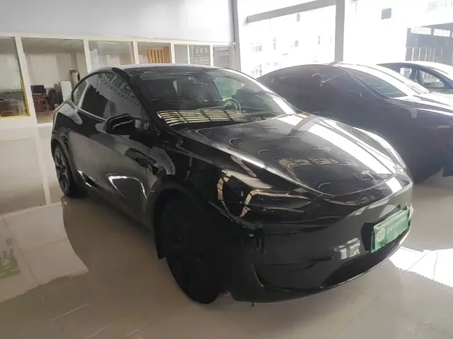 Tesla Model Y — Фото автомобиля 3