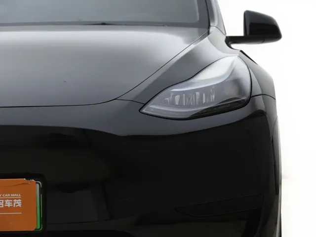 Tesla Model Y — Фото автомобиля 19
