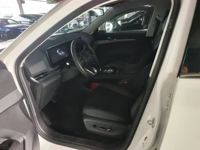 Ford Lingrui — Фото автомобиля 14