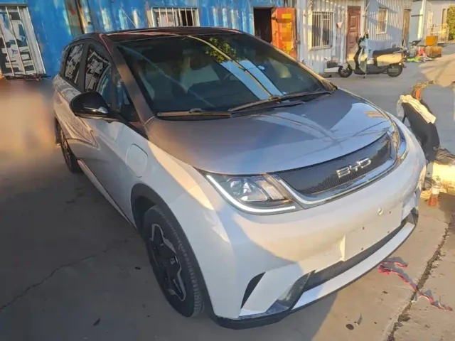 BYD Dolphin 2021 Model 405km Fashion Edition — Фото автомобиля 21