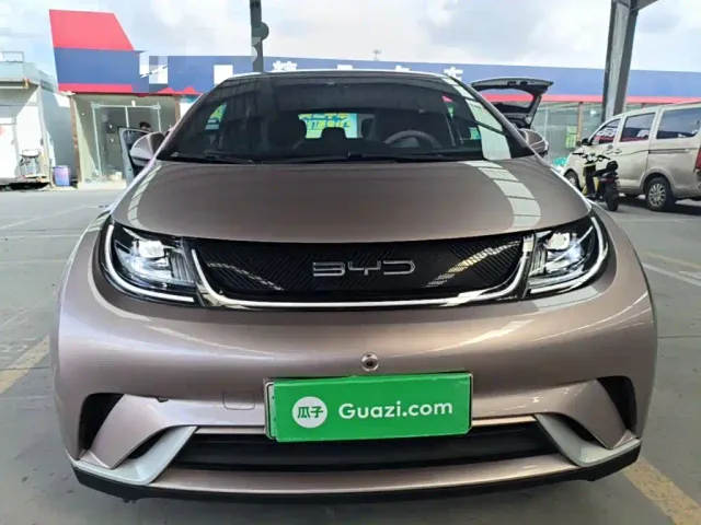 BYD Dolphin — Фото автомобиля 2