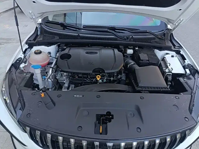 Geely Binrui — Фото автомобиля 19