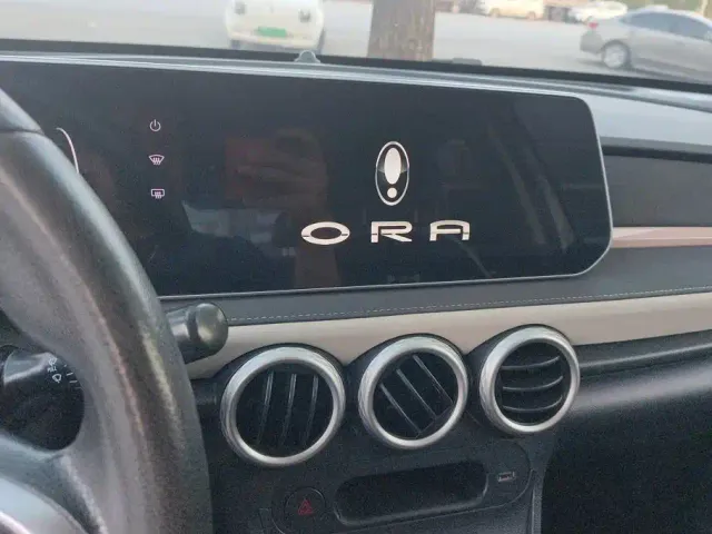 Ora Black Cat — Фото автомобиля 13