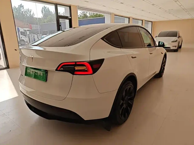 Tesla Model Y — Фото автомобиля 6