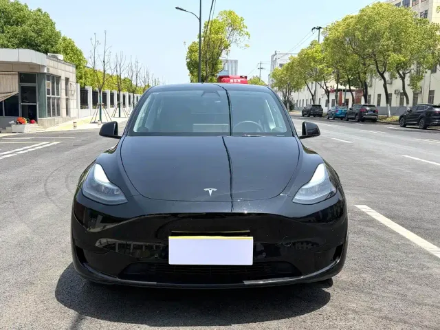 Tesla Model Y — Фото автомобиля 2