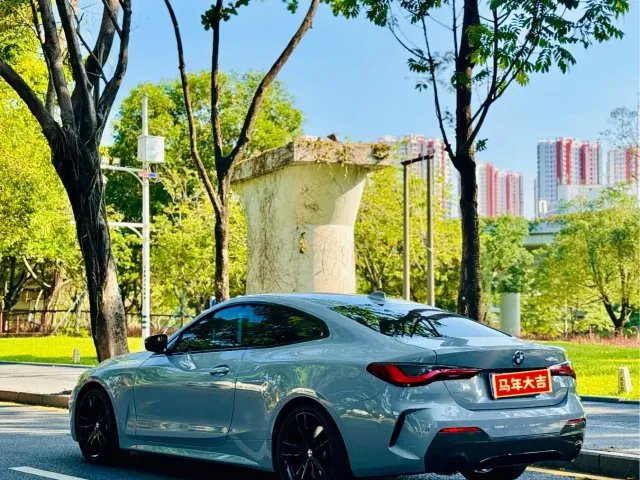 BMW 4 Series — Фото автомобиля 10