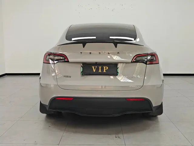 Tesla Model Y — Фото автомобиля 5