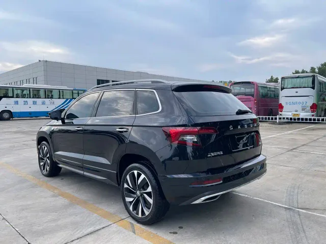 Skoda Karoq — Фото автомобиля 6