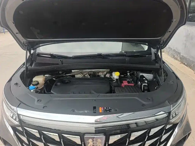 Roewe iMAX8 — Фото автомобиля 19