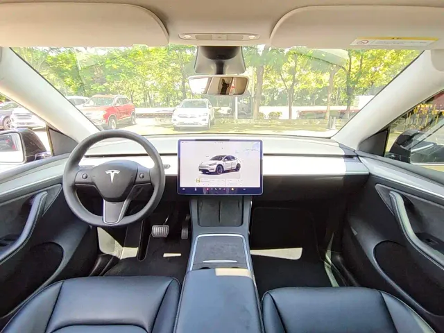 Tesla Model Y — Фото автомобиля 10
