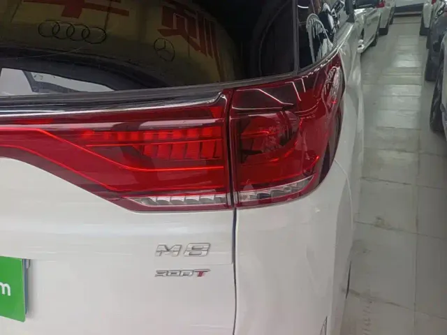 GAC Trumpchi M8 — Фото автомобиля 7