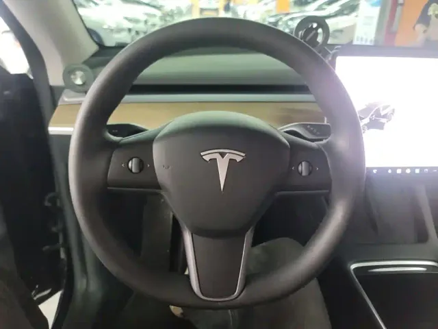 Tesla Model Y — Фото автомобиля 10