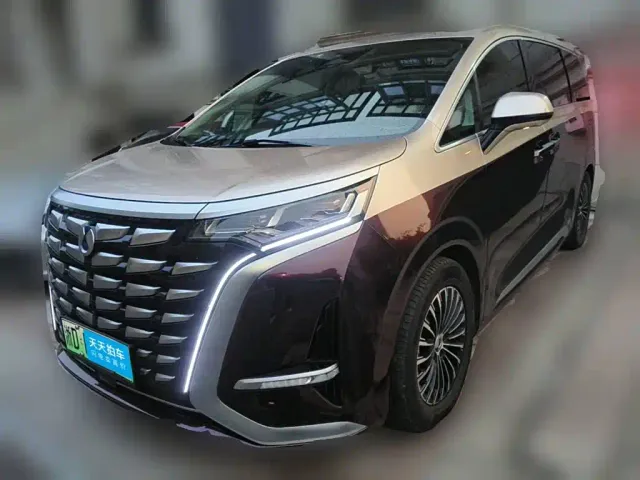 Фотография автомобиля — Denza D9