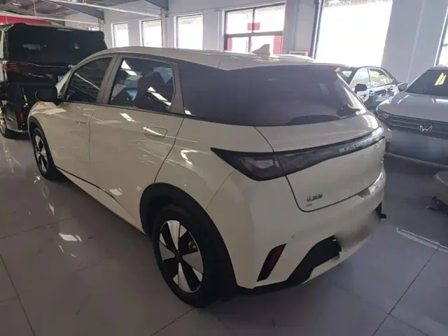 BYD Dolphin — Фото автомобиля 4