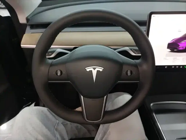 Tesla Model Y — Фото автомобиля 10
