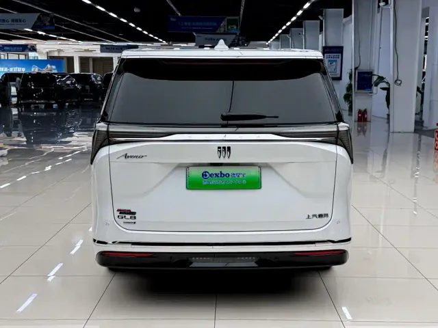 Buick Buick GL8 New Energy 2024 Landglory Luxury Edition 7-Seater — Фото автомобиля 12