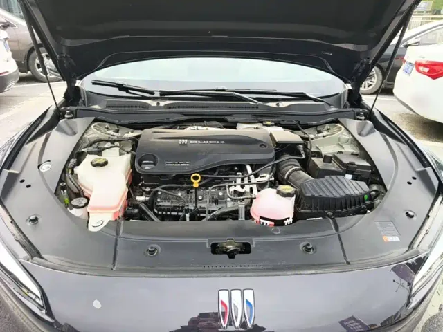 Buick Electra L7 — Фото автомобиля 19