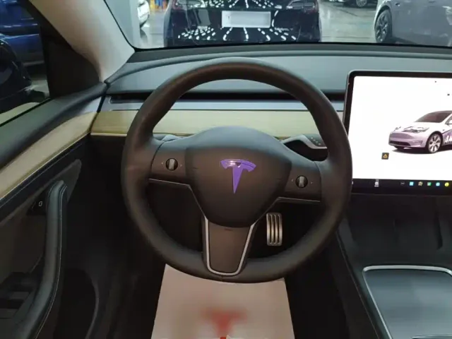 Tesla Model Y — Фото автомобиля 10