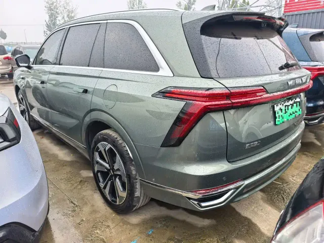 Wey Lanshan — Фото автомобиля 18