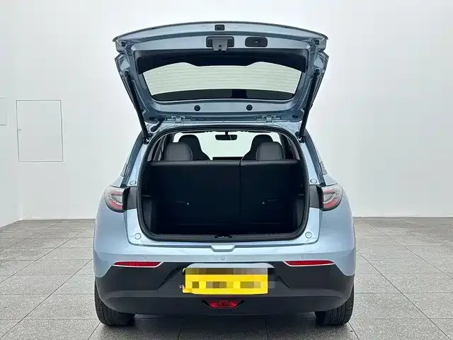 Geely Starry Wish — Фото автомобиля 15