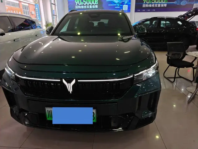 Voyah Auto VOYAH FREE 2025 318 318km RWD Touring Edition — Фото автомобиля 3