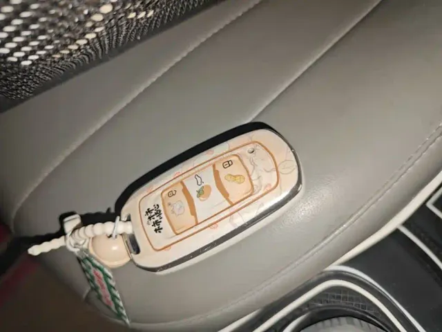 Geely Panda — Фото автомобиля 8