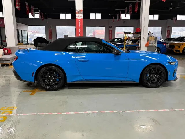 Ford Mustang — Фото автомобиля 11