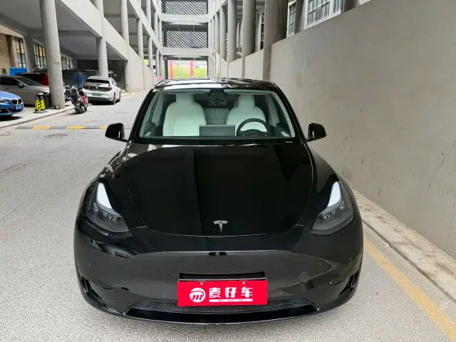 Tesla Model Y — Фото автомобиля 2