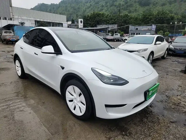 Tesla Model Y — Фото автомобиля 3