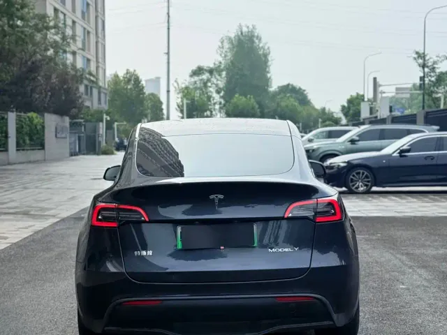 Tesla Model Y — Фото автомобиля 8