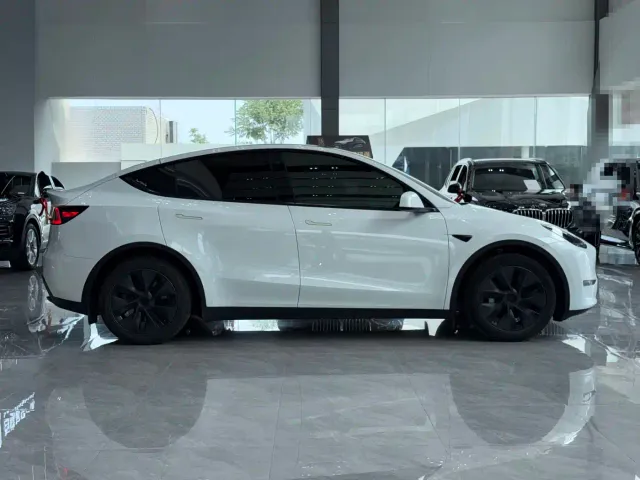 Tesla Model Y — Фото автомобиля 10