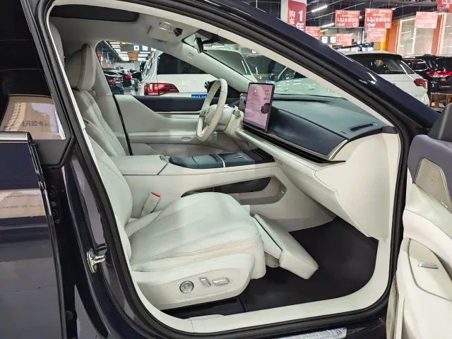 Buick Electra L7 — Фото автомобиля 8