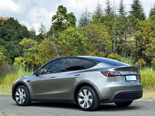 Tesla Model Y — Фото автомобиля 6