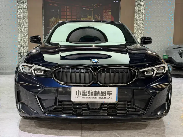 BMW 3 Series — Фото автомобиля 2