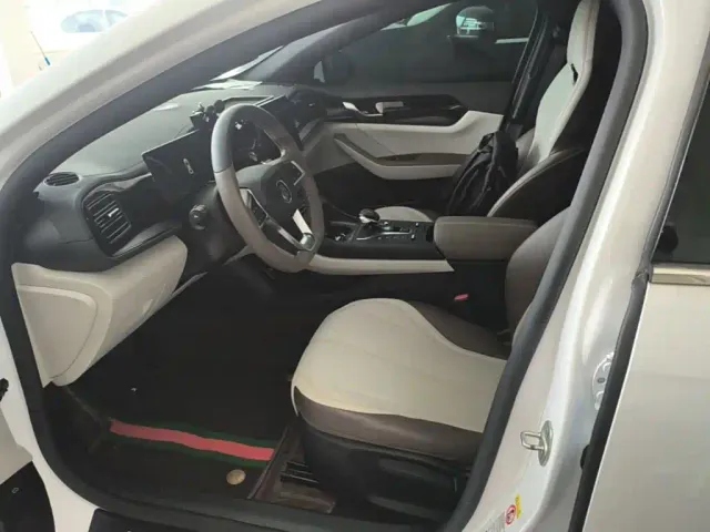 BYD Qin PLUS — Фото автомобиля 14
