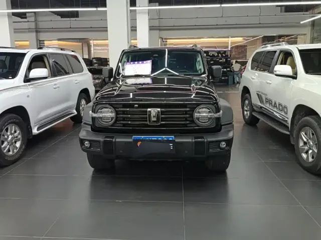 Tank Tank 300 2024 Model 2.0T Challenger — Фото автомобиля 2
