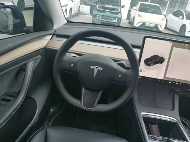 Tesla Model Y — Фото автомобиля 10