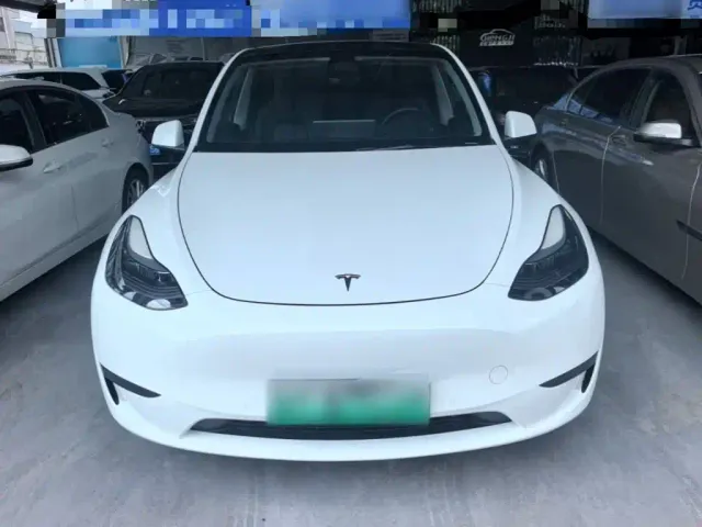 Tesla Model Y — Фото автомобиля 2