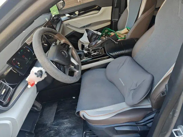BYD Qin PLUS — Фото автомобиля 11